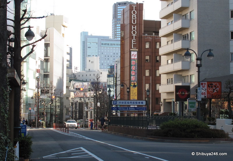 Looking back down Koen dori from top