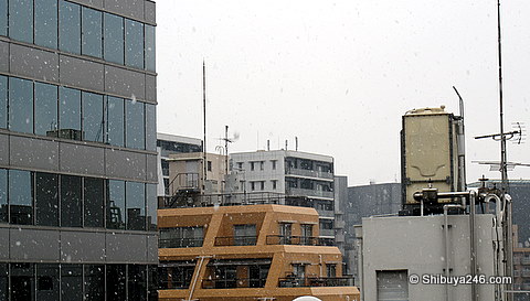 Snow in Tokyo
