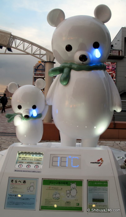 Why is Solar Bear crying?