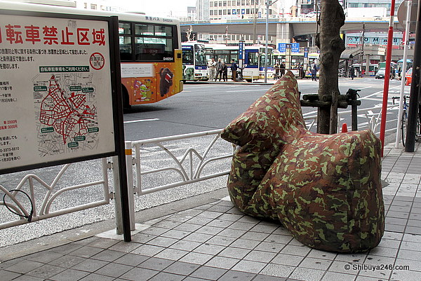 Is this meant to be a camouflage?