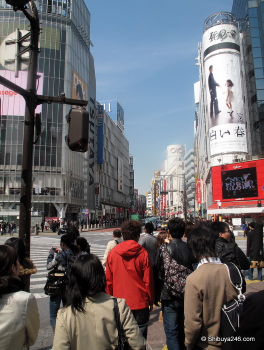 Scramble Crossing Shibuya