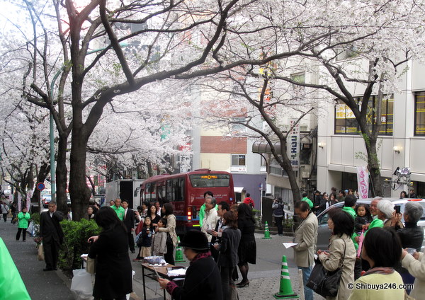 The crowd