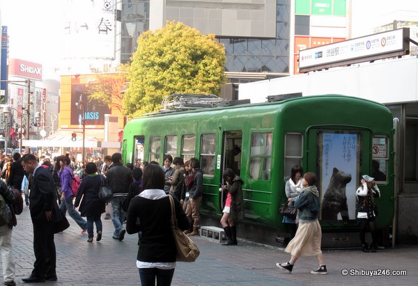 Meet you at Shibuya