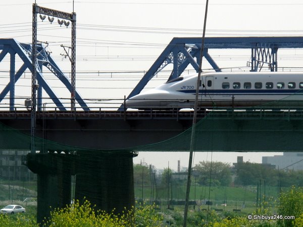 You can see the passengers on this one