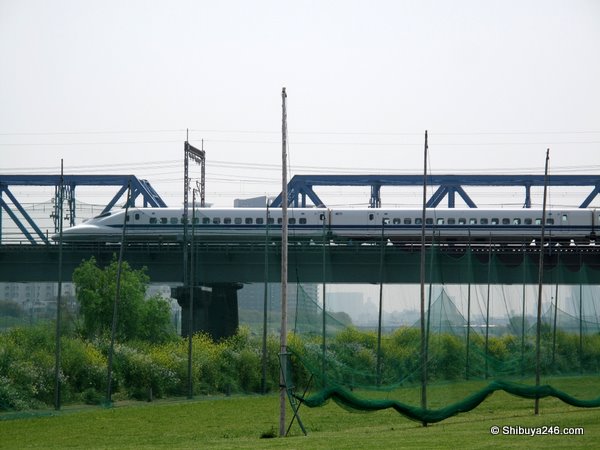 Don't think those nets are going to stop much, but the train is further than you think