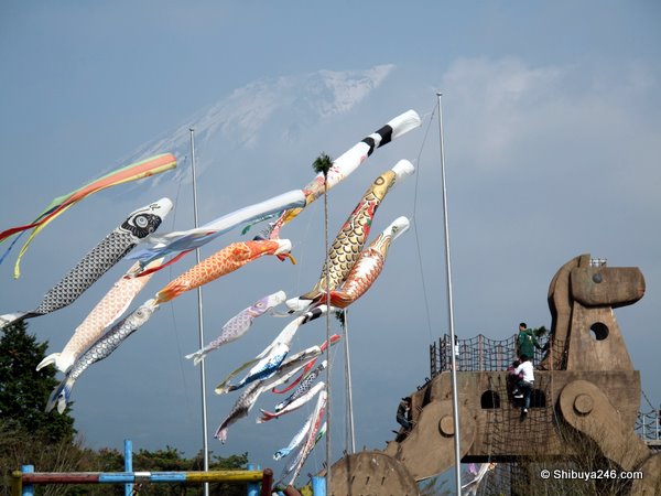 A closeup of the Koinobori