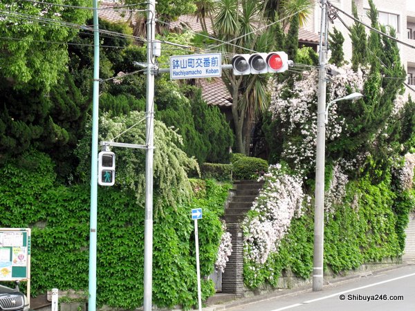 road sign