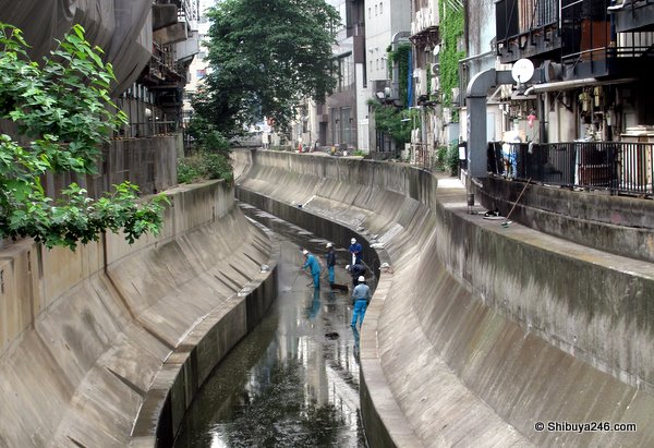 The clean up crew working on Shibuya river