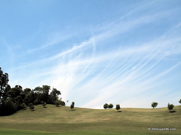 streaky white lines through the sky