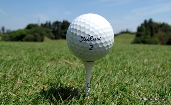 Perfect day for golf