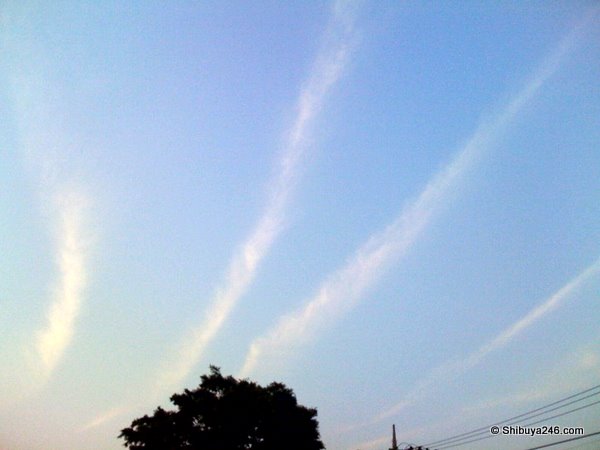photo21
