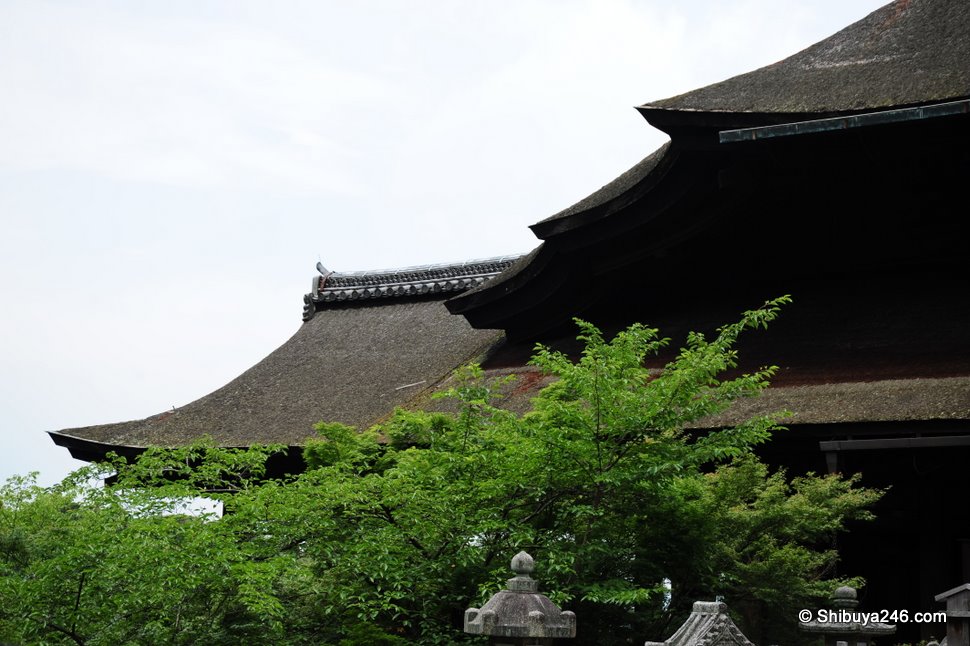 The roof of the main Temple