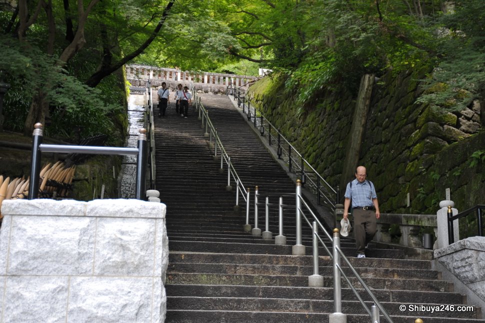 The grounds of the Temple, built on the side of the mountain are quite natural and have plenty of greenery