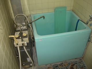 The old bath-tub pre renovation