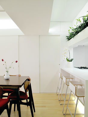 counter kitchen, new lighting and some greenery