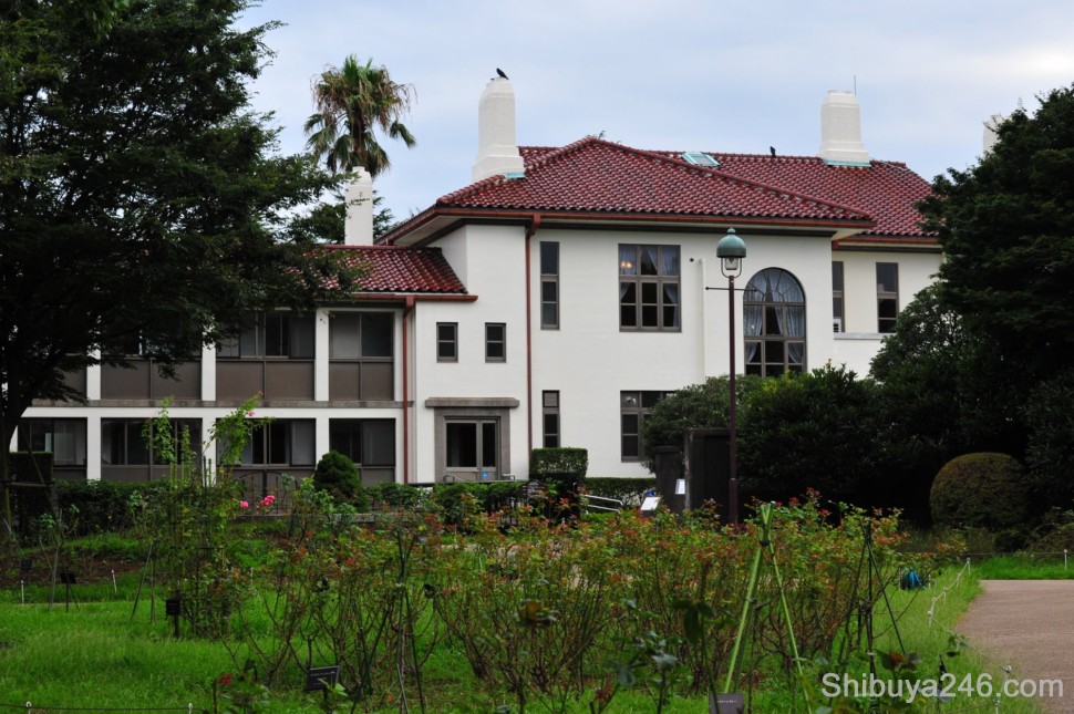 Many of the houses in the Yamate are at the top of the hill were residences for British Diplomats years ago. This is the Rose Garden in one of those residences