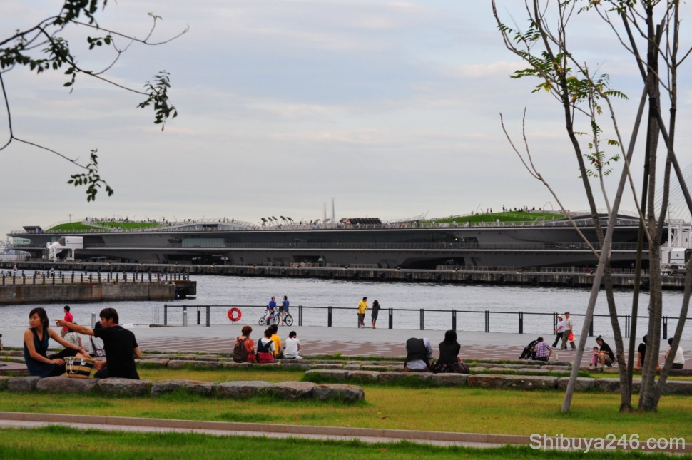 What looks like an eco aircraft carrier out of the US, is actually the International Passenger Terminal for cruise ships to dock