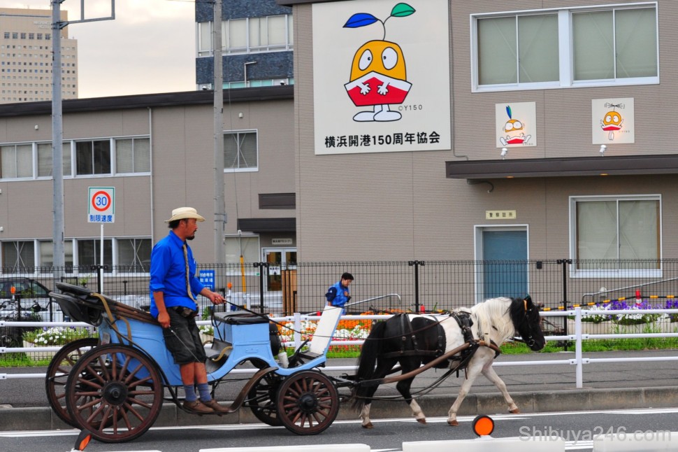 A man drives a horse buggy through the streets for tourists, while in the background the Yokohama Y150 character looks on