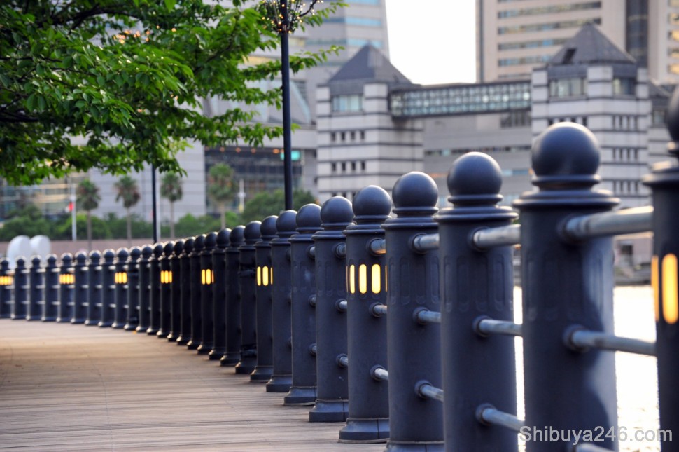 Yokohama has done a great job to bring greenery and atmosphere to its parks and walkways. A very relaxing environment