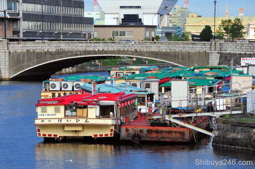 A selection of boats that will entertain people at night with drink and good food