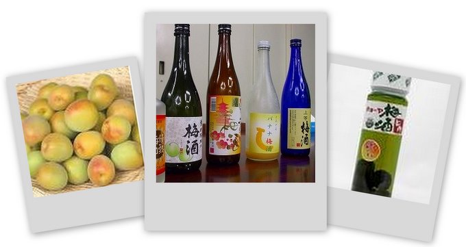 umeshu-1