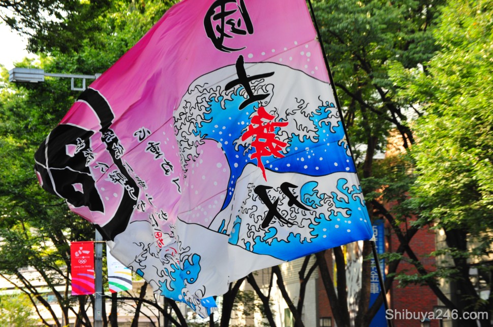 The flags were great and this pink one made an interesting contrast