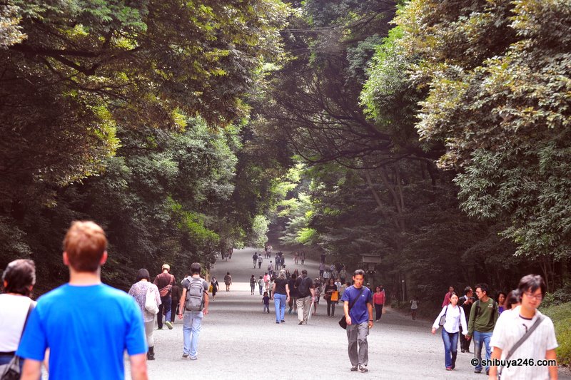The walk down the gravel pathway in the shade of the trees is very peaceful despite the crowd