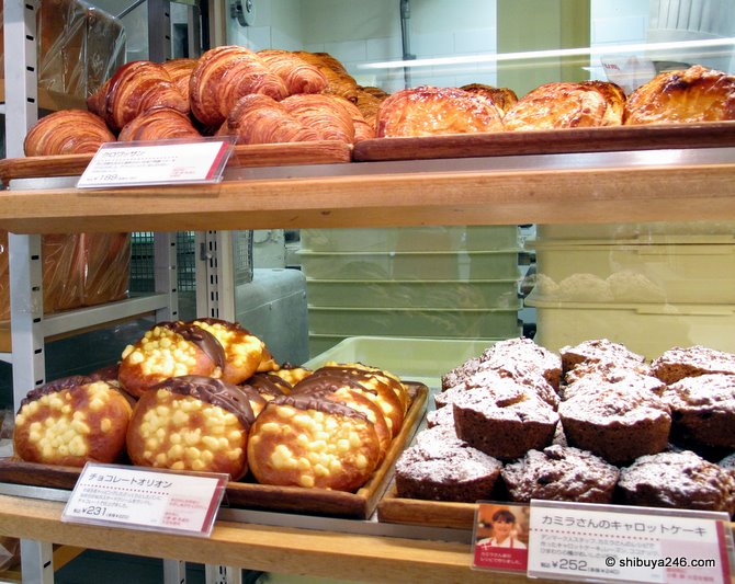 Chocolate Orion or Carrot Cake? Tough choice