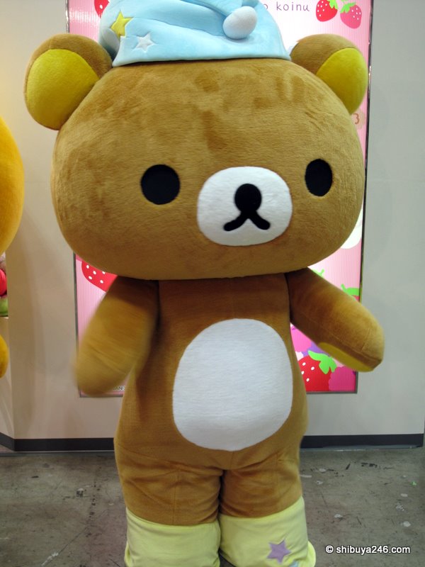 Rilakkuma in the flesh