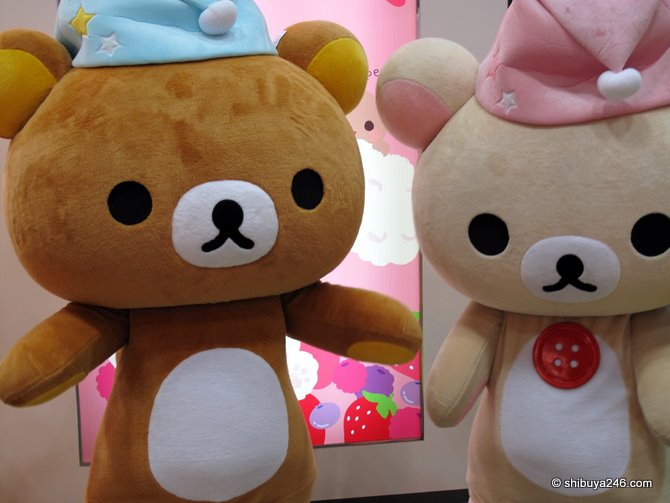 A closeup of Rilakkuma and Korilakkuma