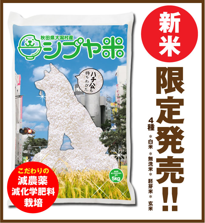 Shibuya Rice on Rakuten