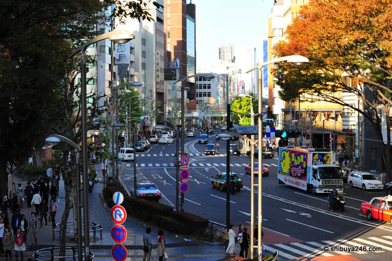 Crossing the road using the overpass. This is the view looking down towards Harajuku.