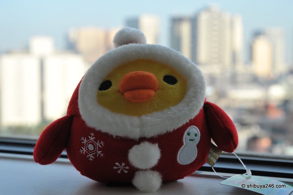 Kiiroitori dressed up for xmas in his red winter suit with snow buttons