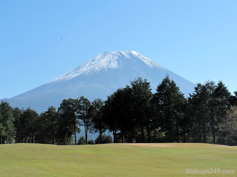The course didn't need any water features or statuesque objects. Its main feature was Fuji-san