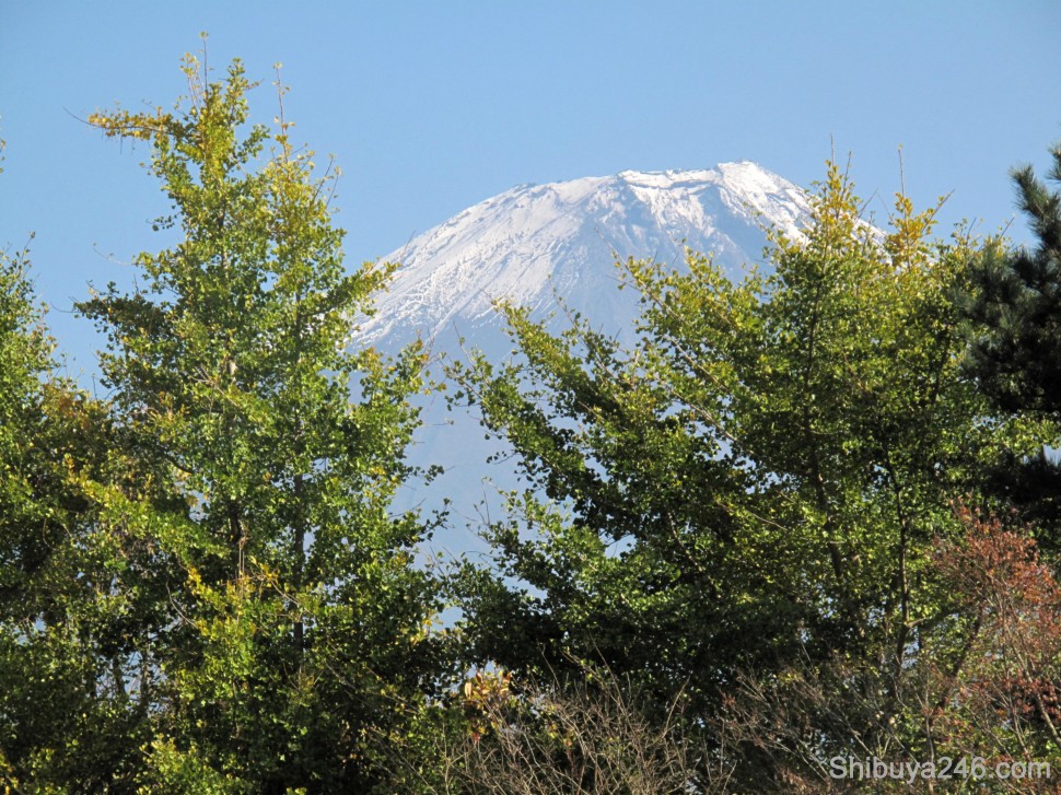 Mt Fuji peaks through some of the trees on this Par 3 hole