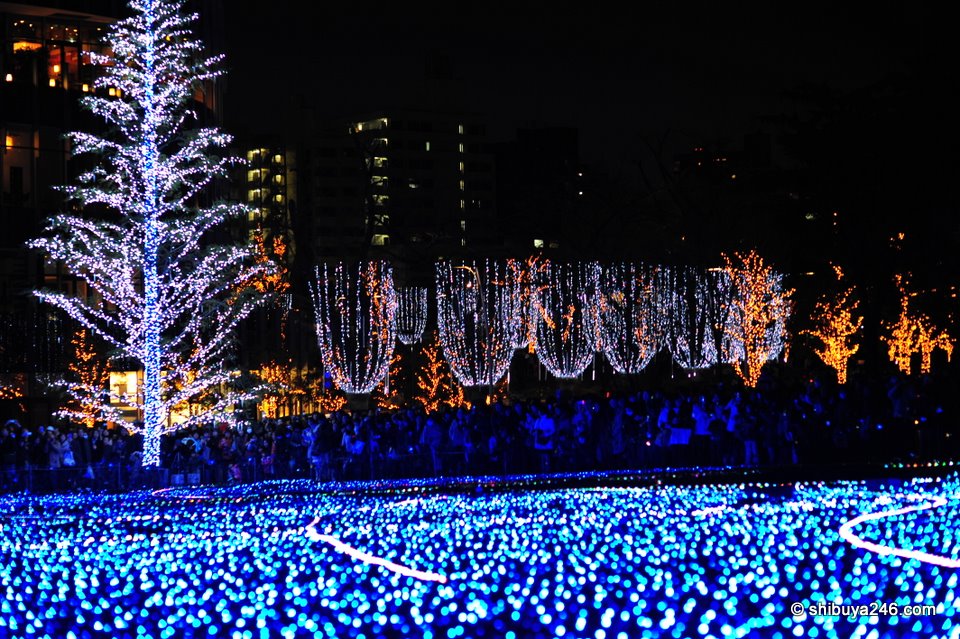 A sea of blue lights for the Tokyo Midtown Christmas Illumination