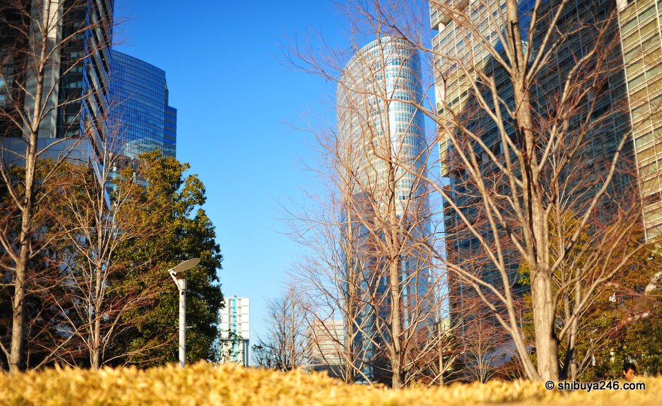 Beautiful blue skies with sunny weather. What a great way to spend the weekend.