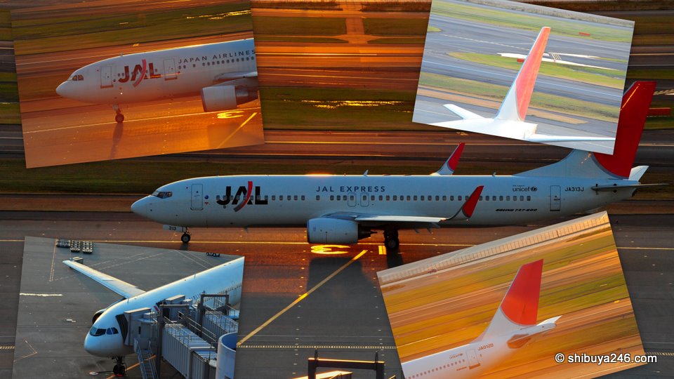 Japan Airlines Bankrupt