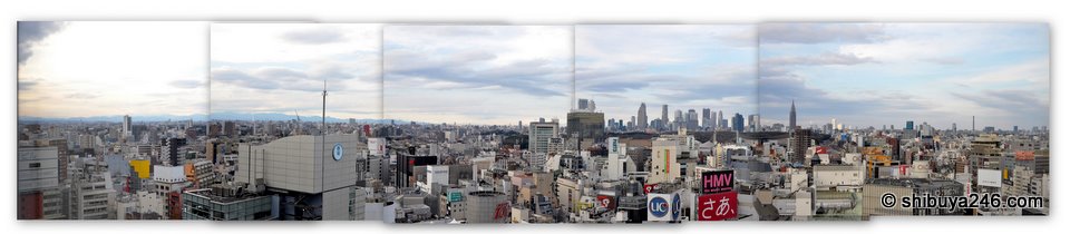 Shinjuku skyline