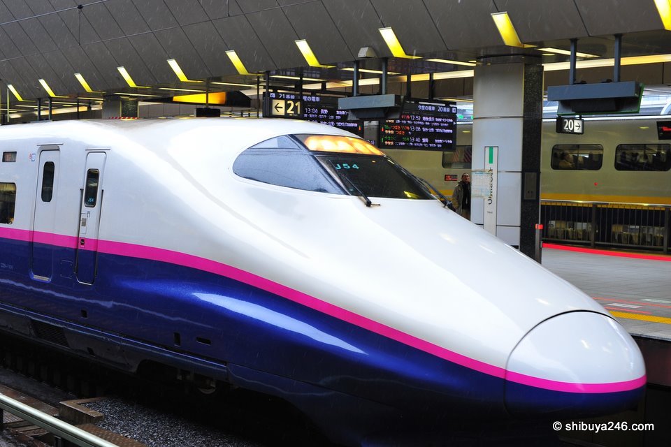 Sleek lines and cool colors on this Hayate Shinkansen at Tokyo Station. I wonder who gets to choose the paint colors?