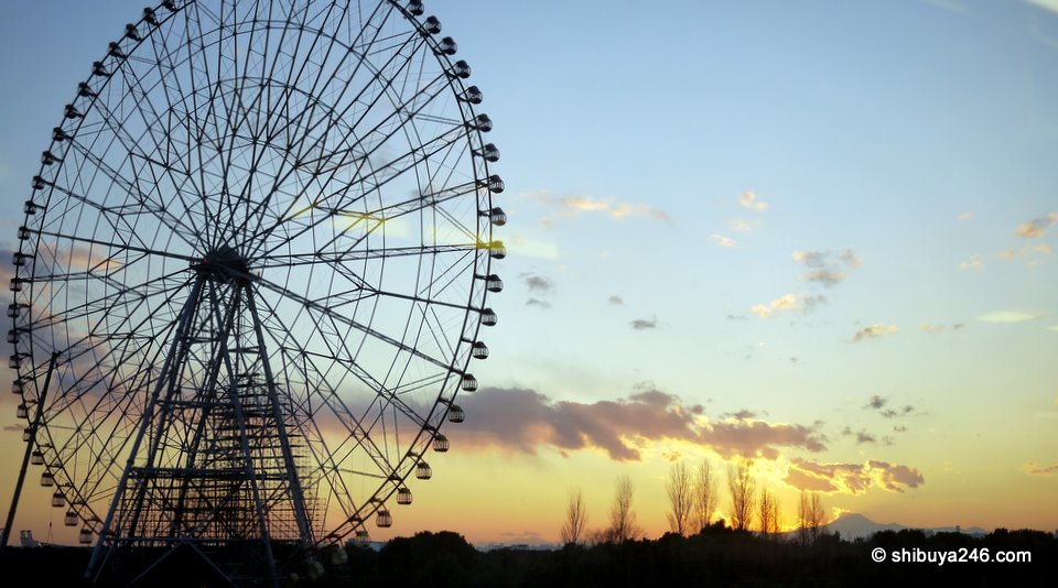 The ferris wheel at Kasai Rinkai Koen makes a nice backdrop for this photo