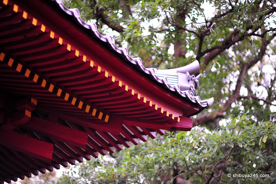 The red wood and roof ornaments stood out brilliantly against the trees in the background. The low f/stop on the lens did a great job here.