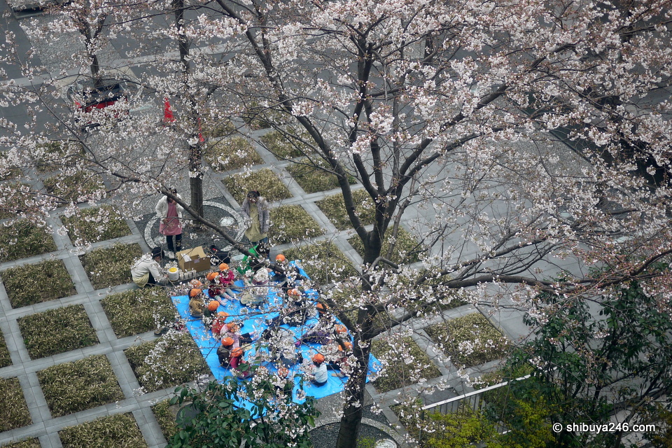 This Kindy picnic looks like fun. I bet they are not drinking amazake though!!