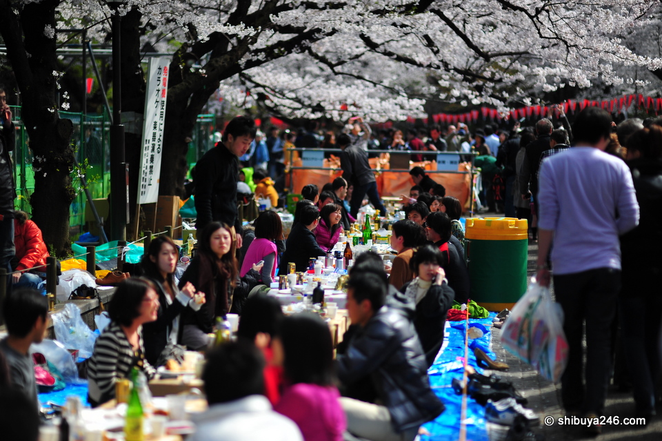 Picture perfect for this picnic. Wish I could have sat down and joined in.