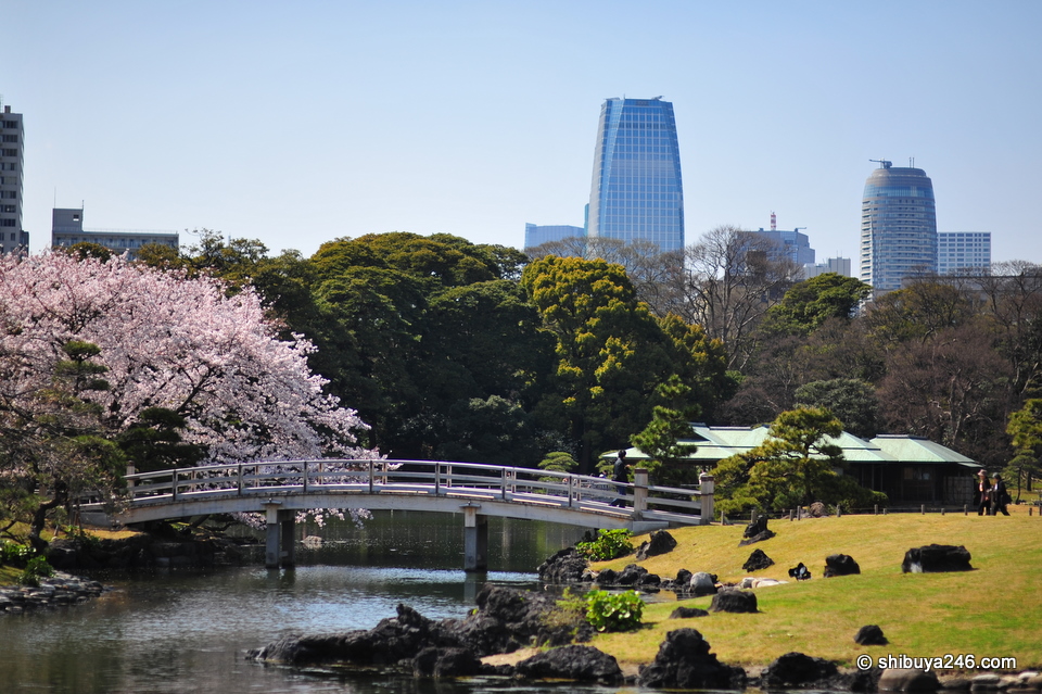 Hamarikyu Gardens