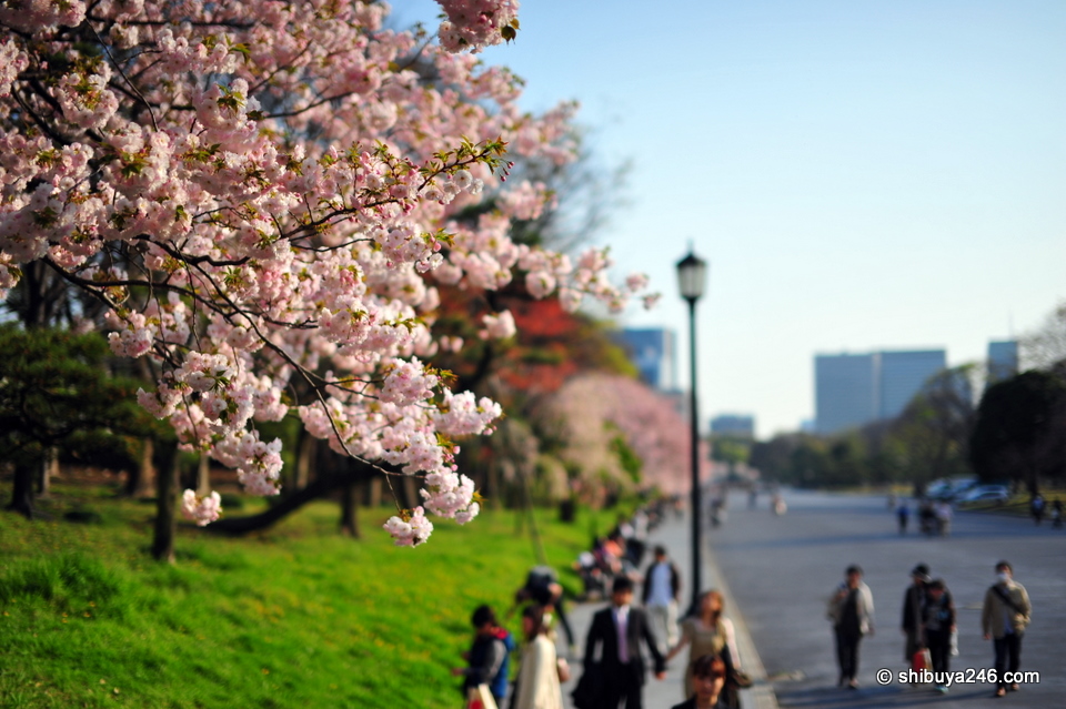 Sunny day out near Tokyo Station