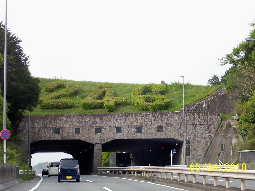 Route 246