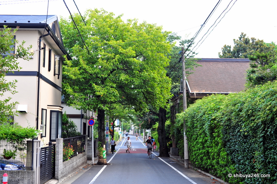 This is my image of Seiji. A leafy suburb with trees overhanging the clean narrow roads. This area of town is peaceful and laid back but very well organized