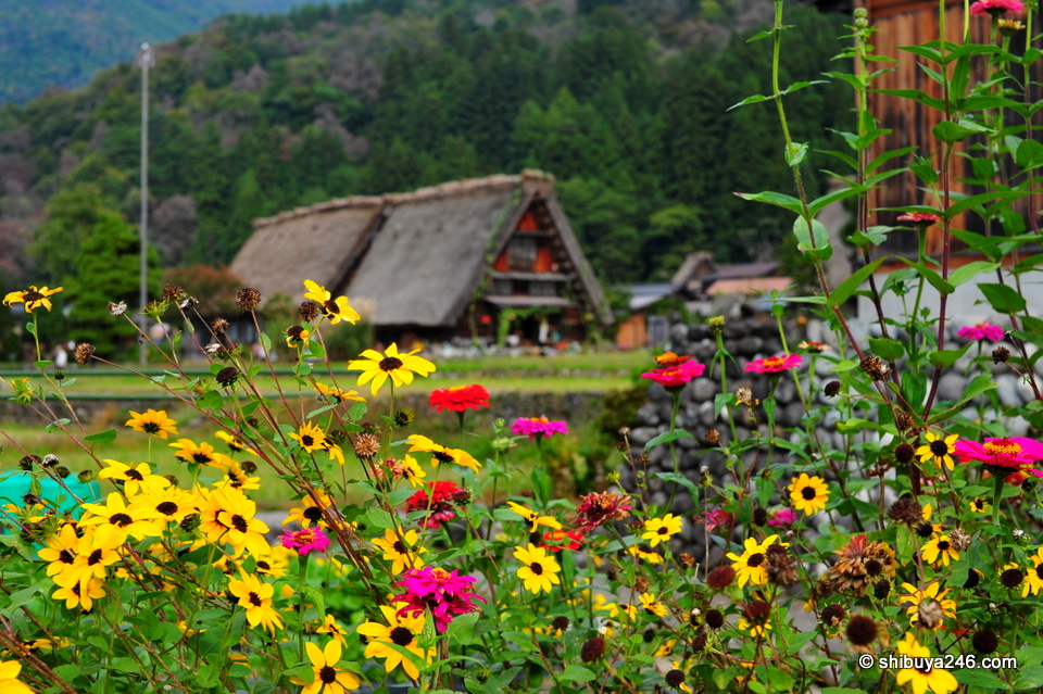 Autumn in the World Heritage Shirakawago area