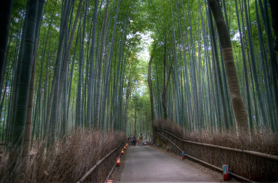 Bamboo Walk in Arashiyama